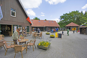 Drenthe met kinderen; 50x bezienswaardigheden & activiteiten - Reisliefde Drenthe met kinderen; 50x bezienswaardigheden & activiteiten - Reisliefde